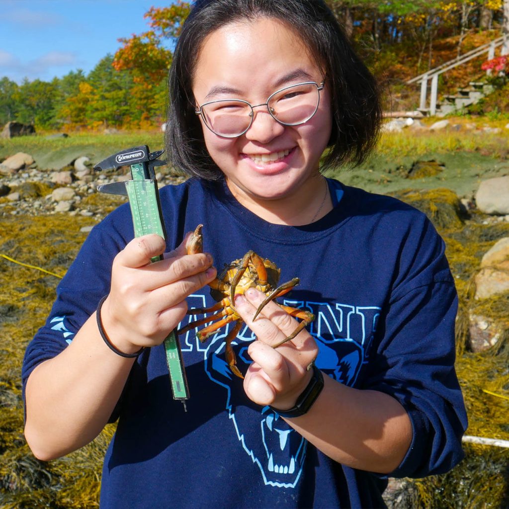 A photo of a student holding a crab and a ruler on the coast of Maine